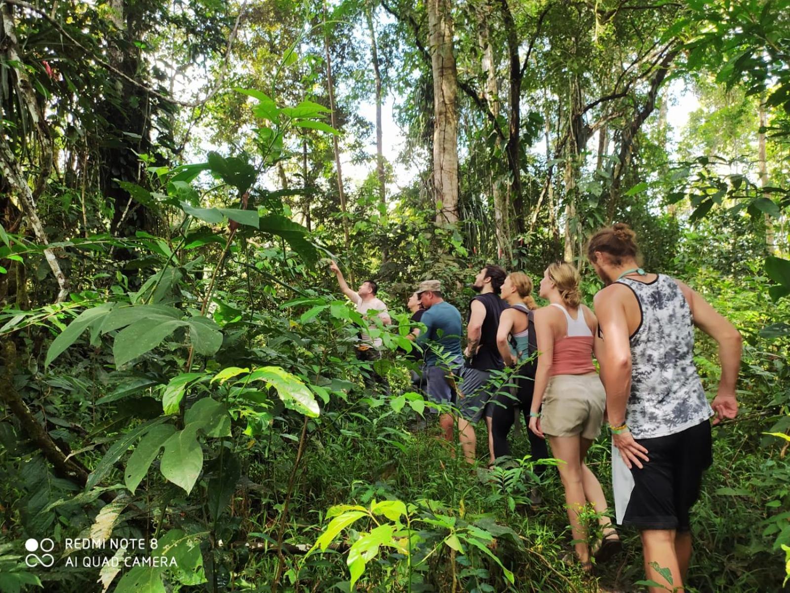Jacamar Lodge Expeditions Iquitos Exterior foto